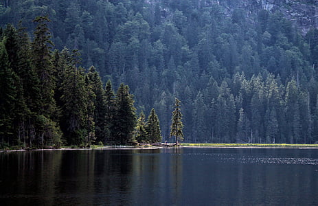 island on body of water thumbnail