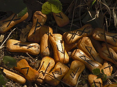 brown seeds thumbnail