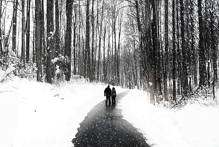 grayscale photo of two persons standing at the middle road surrounded by leafless trees thumbnail