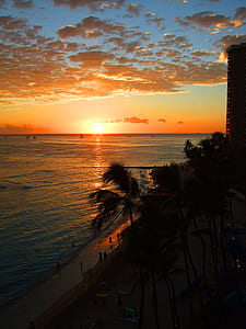 silhouette photo of coconut trees near ocean thumbnail