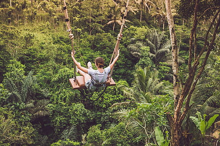 girl sitting on brown swing thumbnail