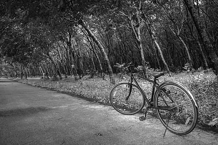 grayscale bike near trees thumbnail
