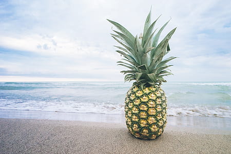 pineapple on beach shore thumbnail