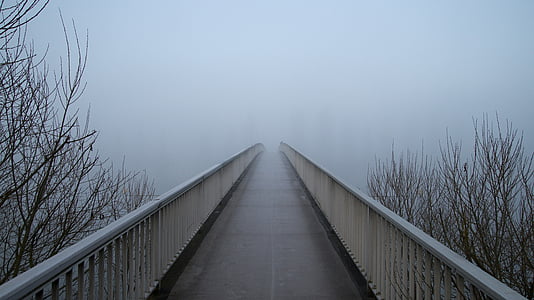 brown and white wooden bridge thumbnail