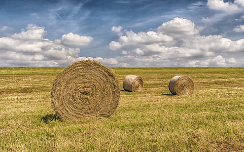 three hay bales on grass field thumbnail