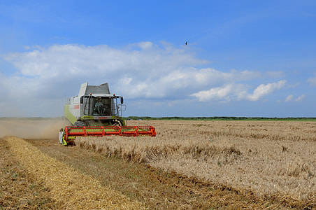 white and orange harvester at daytime thumbnail