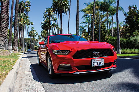 red Ford Mustang coupe on road at daytime thumbnail