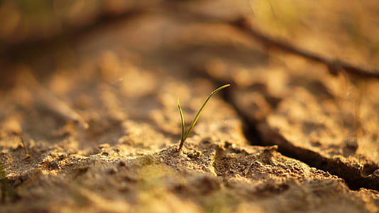 landscape, nature, sand, dry thumbnail