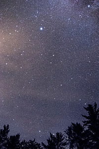 White Stars thumbnail