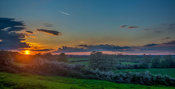 photo of open field during golden hourt thumbnail