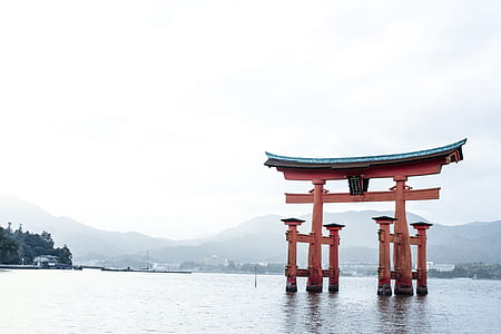 brown wooden arc on body of water thumbnail