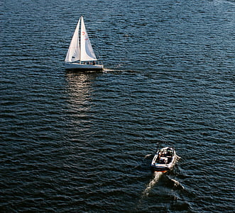white motorboat sailing through white sailing boat thumbnail