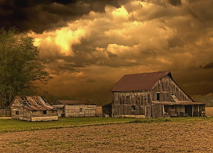 brown houses near green field thumbnail
