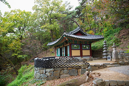 green and white wooden temple in middle of forest thumbnail