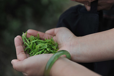 Tea, Hand thumbnail