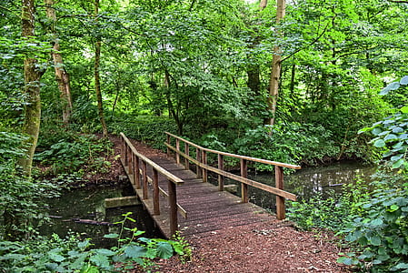 brown wooden bridge surrounded by green leafed trees thumbnail