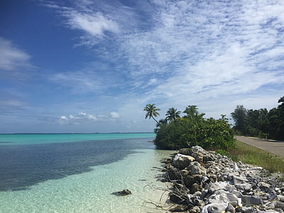 seashore during daytime thumbnail