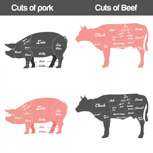 Different Types Of Meat Cuts Free Template PPT Premium Download 2020