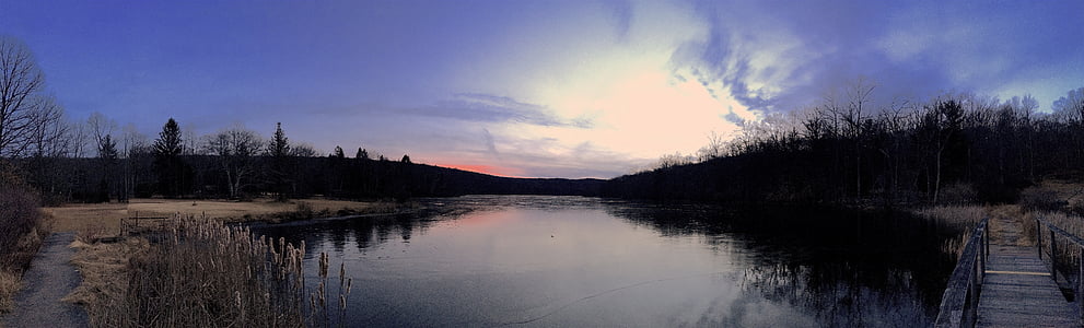 silhouette photo of trees reflecting on body of water thumbnail