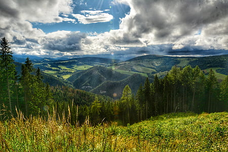 green trees and mountain under gray cloudy sky thumbnail