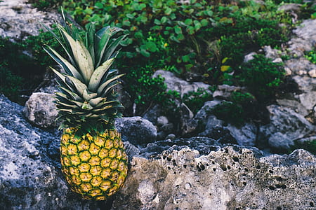 yellow pineapple on gray rocks thumbnail