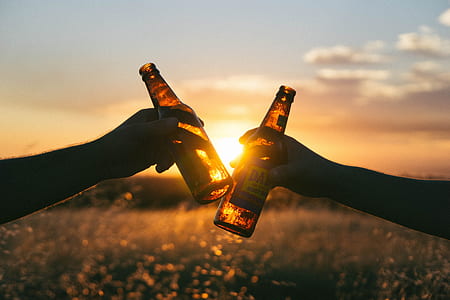 silhouette photo of two person holding beer bottles thumbnail