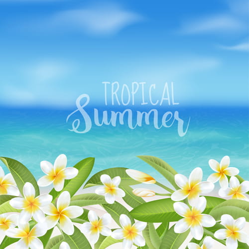 Summer Free Vector Art 62 144 Free Downloads