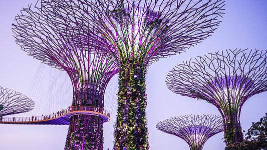 Singapore, Gardens By The Bay thumbnail