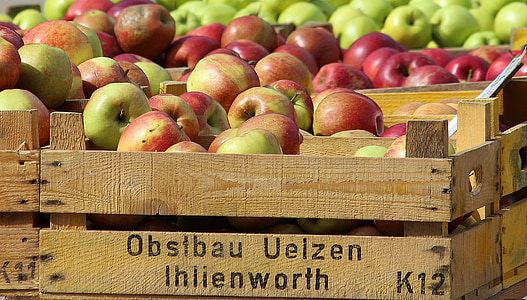 pile of apples thumbnail