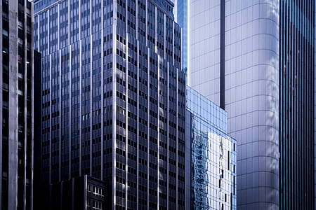 low-angle photo of glass windowed buildings thumbnail