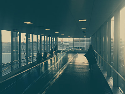 people inside glass wall building thumbnail