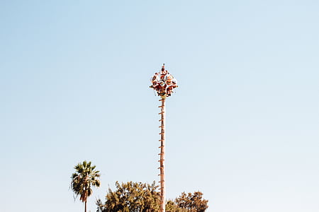 minimalist photography of people riding drop-down circus ride thumbnail