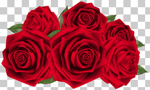 Wedding anniversary Birthday Flower Wedding invitation, Beautiful Dark Red Roses , red roses PNG clipart