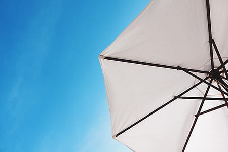 worm's-eye view of white and black umbrella thumbnail