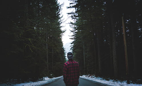 person standing on center road surrounded with trees thumbnail