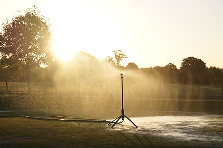 grass, lawn, park, sprinkler thumbnail