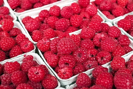 Red Raspberry thumbnail
