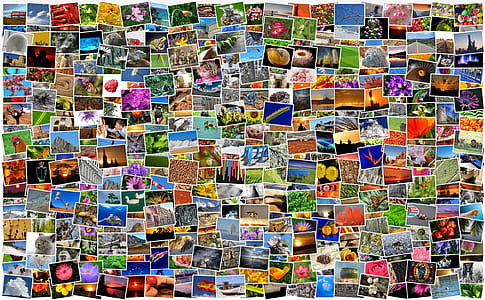 canvas photo lot thumbnail