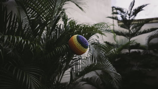 selective color photography of knit ball near plant thumbnail