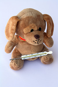 dog plush toy with thermometer thumbnail