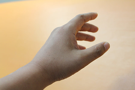 left human hand closeup photography thumbnail