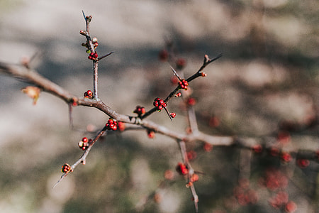A walk in an autumn forest thumbnail