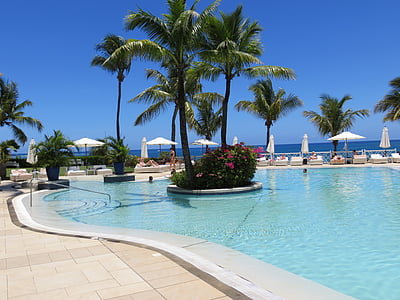 persons swimming in pool thumbnail
