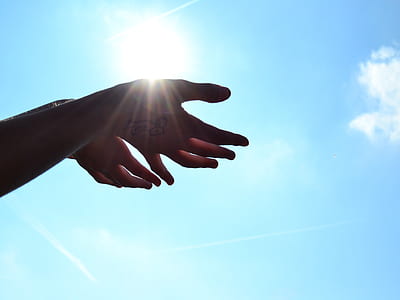 selective photo of human hand under blue and white sky at daytime thumbnail