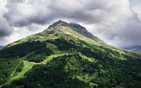 trees on foot of mountain under cloudy sky thumbnail