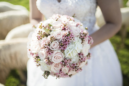 closeup photography of woman holding rose bouquet thumbnail
