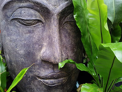 brown Buddah statue thumbnail