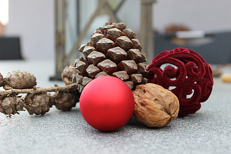 selective focus photography of nuts thumbnail