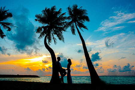 Silhouette Photo of Male and Female Under Palm Trees thumbnail