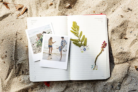 adventure, beach, care, caucasian, coast, craft thumbnail
